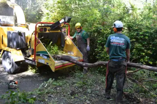 tree services Elizabethtown